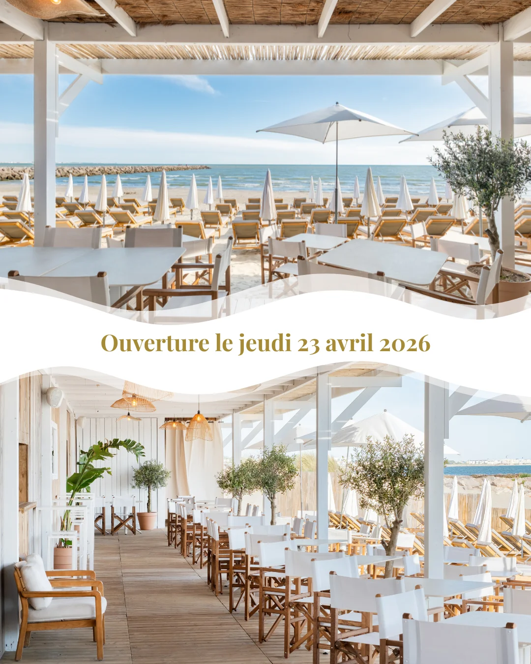 Ouverture Cocobaïa